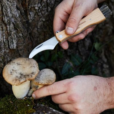 Foraging Knife