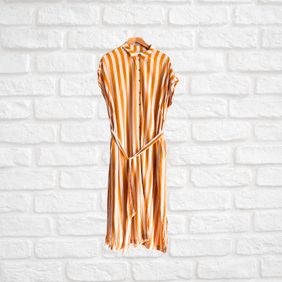 Elk Striped Shirt Dress