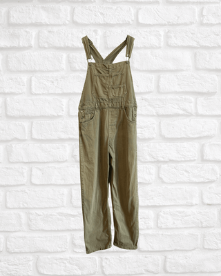 Free People Ziggy Overalls