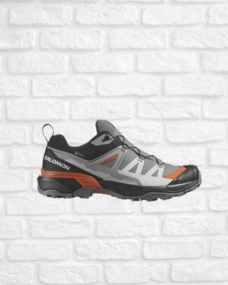 Salomon Men's X Ultra 360 GTX