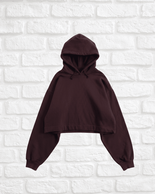 Alo Yoga Crop Hoodie