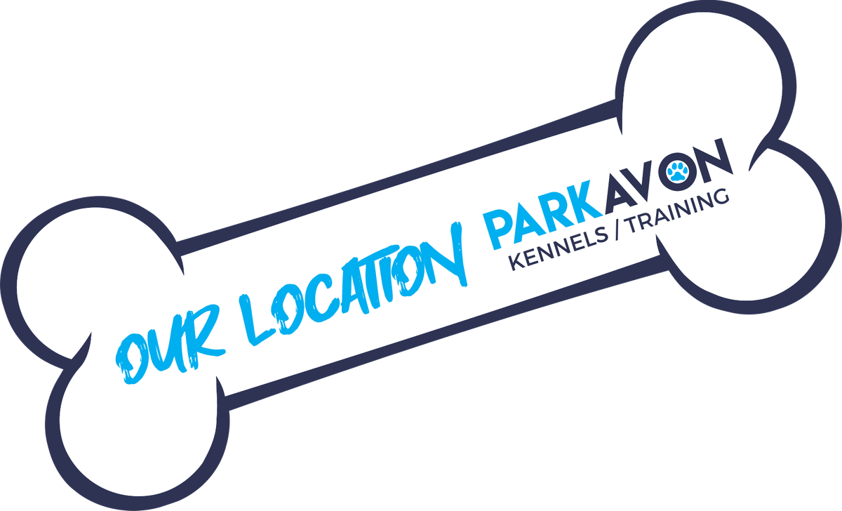 Parkavon Kennels, Doggy Daycare & Training