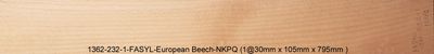 European Beech - Neck - 1362-232-1-NKPQ