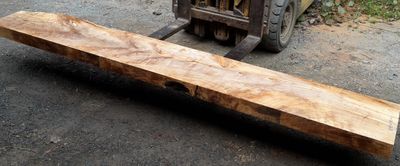 Sycamore Maple -Mantle - 1803-80-1-SLBMAN