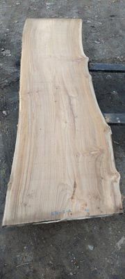 Elm-Slab-1676-2-2-SLP