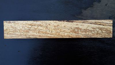 Pin Oak - Knife Blank  - 1516-18-1-KNP