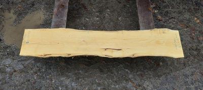 Small Slab - Satin Wood - 1712-64-1