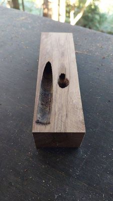 Black Maire-Craft Wood-Puriri Moth Hole Craft-NECUM-1862-5-1