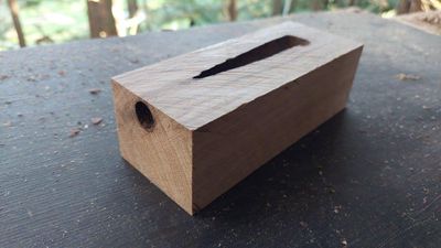 Black Maire-Craft Wood-Puriri Moth Hole Craft-NECUM-1862-3-1