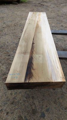 Tulip Tree  SLAB 1608-7-1 Mantel