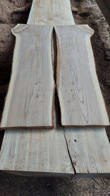 English Elm-Mirror SLAB-1528-2-1_3-1