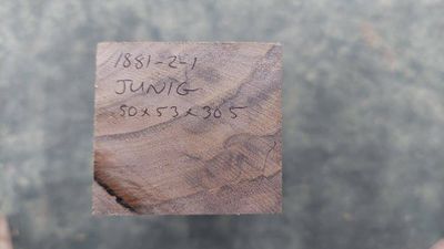 Black Walnut-Knife Blank-JUNIG-1881-2-1 MW2S