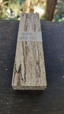 Pin Oak-Knife Scales-Knife Scale Spalted Mirror-QUPAL-1883-10-1