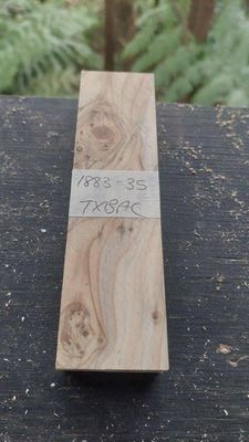 Yew-Knife Scales-Knife Scale Premium -TXBAC-1883-35-1