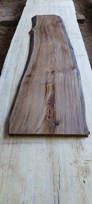 English Elm-SLAB_mini-1878-8-1