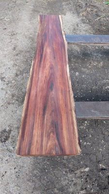 Australian Blackwood-SLAB_mini-1888-15-1