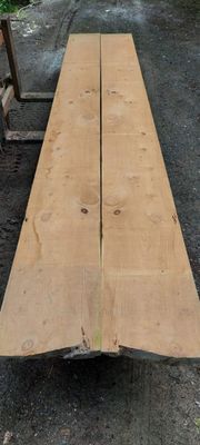 Macrocarpa-SLAB-989-1-1-and-989-1-2