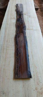 Black Walnut Height Board Slab 1888-38-1 RF1S ELE3