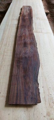 Black Walnut Height Board Slab 1888-37-1 RF1S ELE3