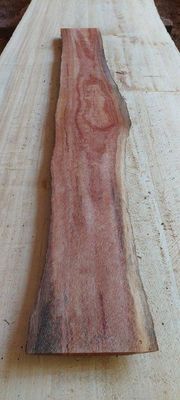 Silky Oak  Premium Mini Slab 1888-39-1 RF1S ELE3