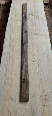 Puriri Height Board Plank 1905-1-1 RF1S ELE3