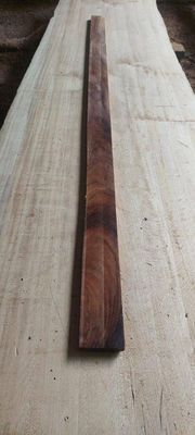 Australian Blackwood Height Board Plank 1909-1-1 RS1S ELE3