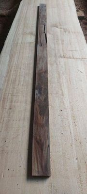 Puriri Height Board Plank 1905-5-1 RF1S ELE3