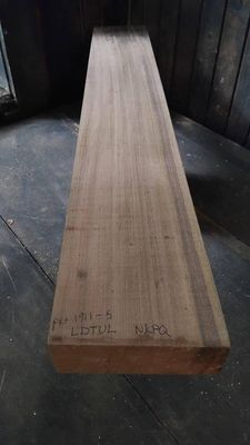 Tulip Tree -Guitar Neck-LDTUL-1911-5-1 RS1S  ELE8