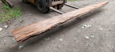 Swamp Totara A Grade Slab 1888-29-1