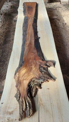 English Elm Premium Slab 1702-5-2 RF1S ELE3