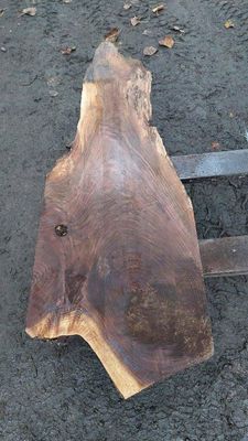 Black Walnut  A Grade Mini Slab 1847-4-1 RF1S B1