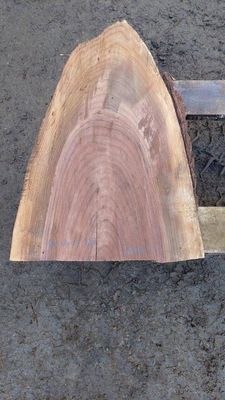 Black Walnut  Premium Mini Slab 1847-3-1 RF1S B2