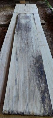 Poplar A Grade Slab 1878-7-1 RF1S ELE6