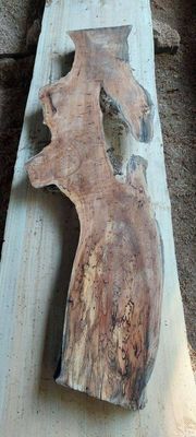 Weird Wonderful Wood, Sycamore Maple A Grade Slab 1927-1-1 RL1S ELE6