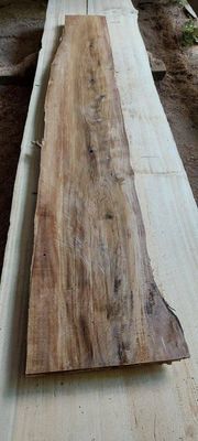 Puriri A Grade Slab 1888-35-1 RF1S ELE6