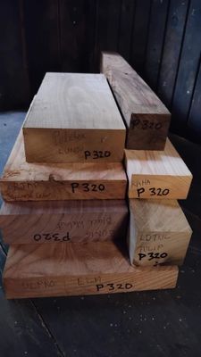 Craft Pack, P320  CRAFT, MW2S, Bay 19