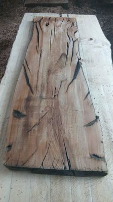 Chestnut Mini Slab 1973-3-1 TC1S K2