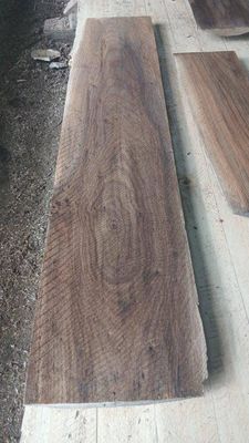 English Elm Mini Slab 1976-3-1 RL1S B2