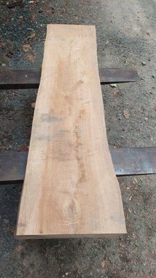 Taraire Mini Slab 1454-10-1 RF1S ELE3