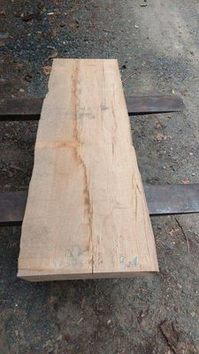 Taraire Mini Slab 1454-3-1 RF1S ELE3