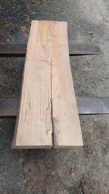 Taraire Mini Slab 1454-10-2 RF1S ELE3