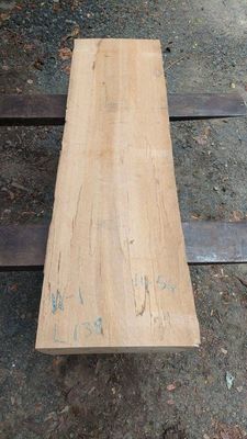 Taraire Mini Slab 1454-11-1 RF1S ELE3