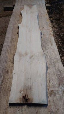 Ginkgo Mini Slab 1712-65-1 RF1S ELE8