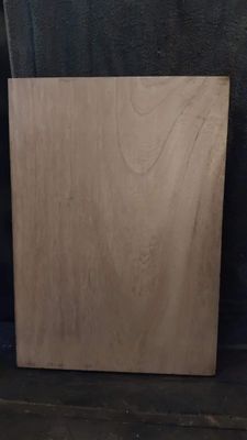 Paulownia INT-Woods SBP-PALEO-1911-49-1 MW2S