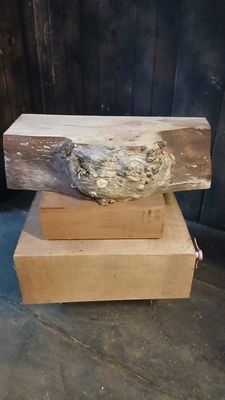 Craft Pack, P353-14.4  Craft_Turning Wood, RF1S, BBS