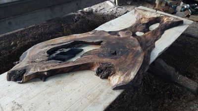 Weird Wonderful Wood, Persian Walnut Mini Slab 1790-1-2 RF1S K3