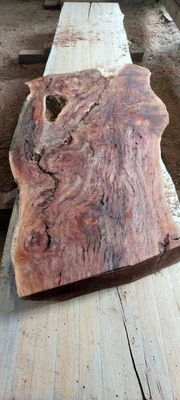 Weird Wonderful Wood, LondonPlane Slab 1927-8-1 RF1S ELE6