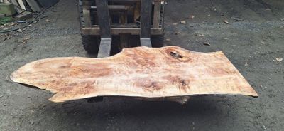 Sycamore Maple Mini Slab 1927-9-1 RF1S ELE6