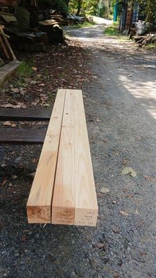 Craft Pack, P382  Craft_ex-50x50, RF1S, B3