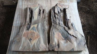 Weird Wonderful Wood,Swamp Kauri Dark, Mini Slab Set, 1930-2-1-1930-2-2, MB1S, K3